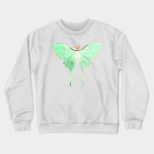 Luna Moth Crewneck Sweatshirt